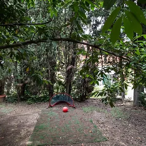 Appartamento Vatican Quiet With Garden & Parking, Roma